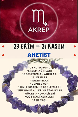 Sertifikalı Burç Taşı Akrep Burcu Ametist Taşı Bileklik