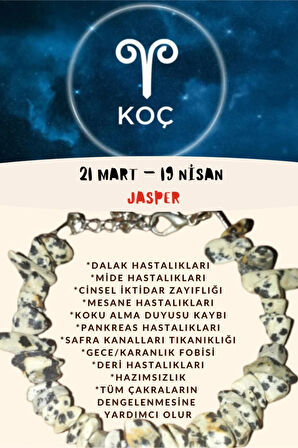 Burç Taşı Koç Burcu Jasper Taşı Bileklik