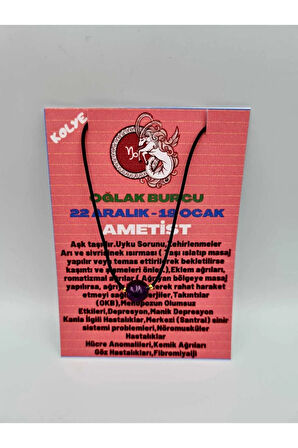 Oğlak Burcu Ametist Taşı Doğal Taş Kolye