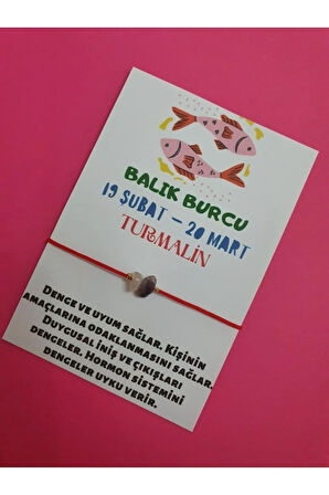 Balık Burcu Turmalin Doğal Taşlı İp Burç Bilekliği