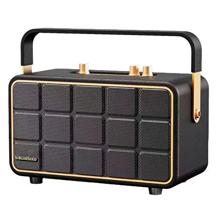 Blueseed BS-610 Karaoke Box Kablosuz Hoparlör - Speaker