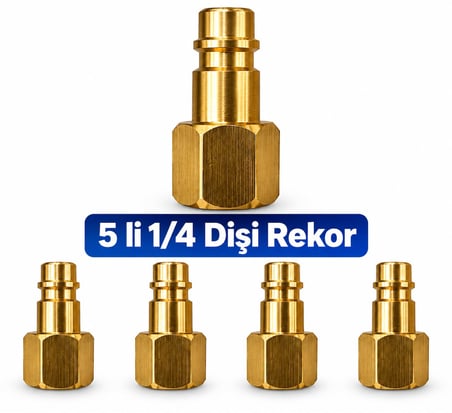 5 ADET - 1/4 DİŞİ HORTUM REKORU (JACK)