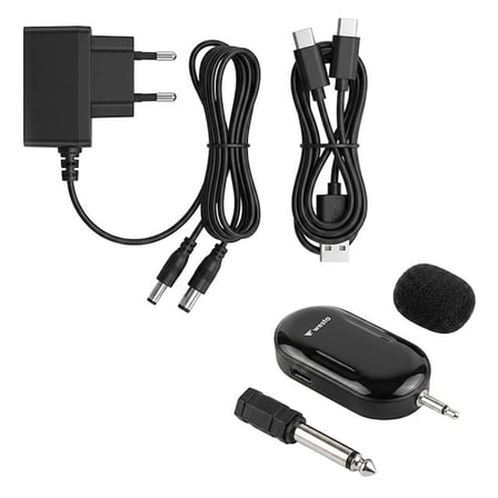Westa WAP-300T USB + SD Kart Girişli Şarjlı Mini Seyyar Kablosuz Mikrofonlu Rehber Anfisi