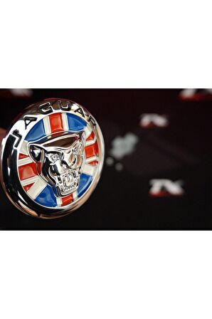 English Flag Vidalı Ön Panjur Izgara Panter 3m 3d 85mm Logo