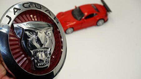 DK Tuning Jaguar E Pace Ön Panjur Izgara Panter 3M 3D Logo 100Mm