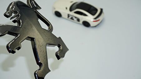 DK Peugeot 307 cc 607 2003 2009 Antresit Krom ABS Bagaj Logo Amblem