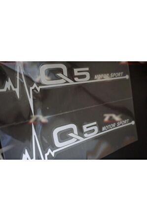 Audi Q5 Motor Sport Kelebek Cam Sticker 2 Li Set