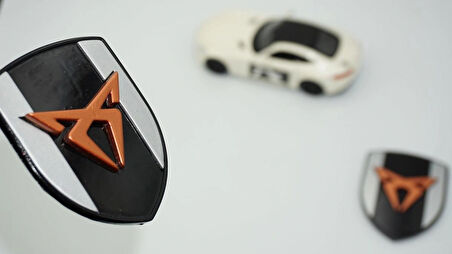 DK Tuning Seat Cupra Logo Kelebek Cam Çamurluk Yanı Amblem Arma Seti