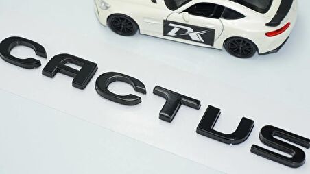 DK Tuning Cactus Bagaj Siyah ABS Logo Arma Yazı Citroen İle Uyumlu