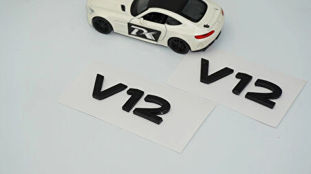 DK Tuning Maybach V12 Çamurluk Yan Kanat Siyah ABS Yazı Logo Arma Seti