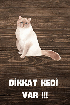 DİKKAT KEDİ VAR TEMALI POSTER DKTK14