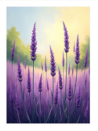 Lavanta Tarlası Çizimi Dekoratif Mdf Tablo