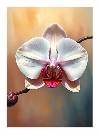 Pembe Orkide Çiçeği Mdf poster