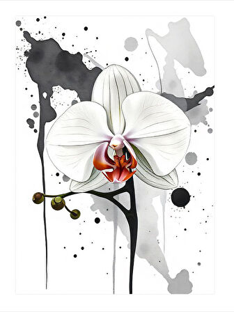 Siyah-Beyaz Orkide Model Mdf tablo