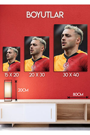 Barış Alper Yılmaz, BAY - Parlak Metal Baskı Tablo