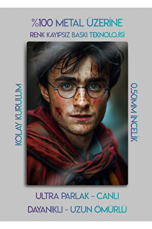 Harry Potter, J. K. Rowling - Parlak Metal Baskı Tablo