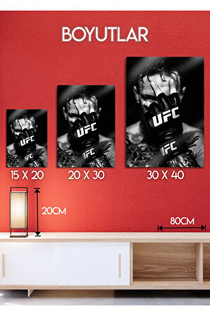 Conor McGregor, UFC - Parlak Metal Baskı Tablo
