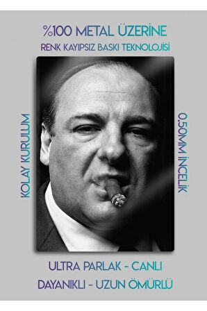 Tony Soprano, The Sopranos - Metal Baskı Parlak Tablo