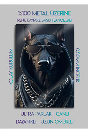 Tarz Köpek, Dog Tablosu - Metal Baskı