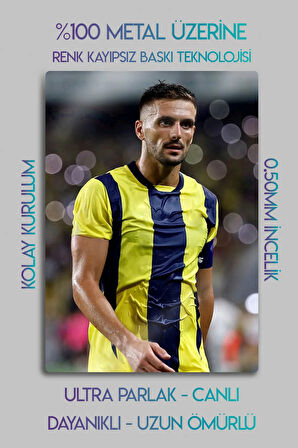 Metal Tablo, Tadic Sporcu Poster, Futbol Hediyelik Tablo