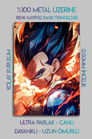 Metal Baskı - Vegeta Dragon Ball, Anime Manga Serisi, Dekoratif Tablo