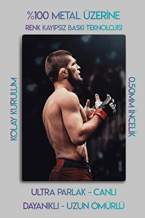 Metal Baskı - Khabib Nurmagomedov, UFC, Parlak Tablo