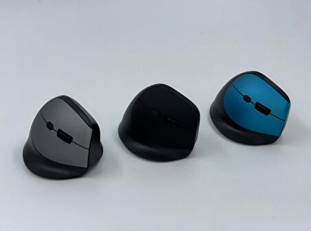 ZR721 Dry Battery Ergonomik Mouse