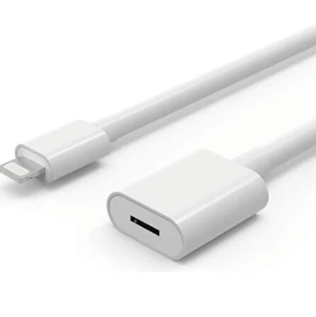 ZR81 Lightning Uzatma Kablosu 1 M