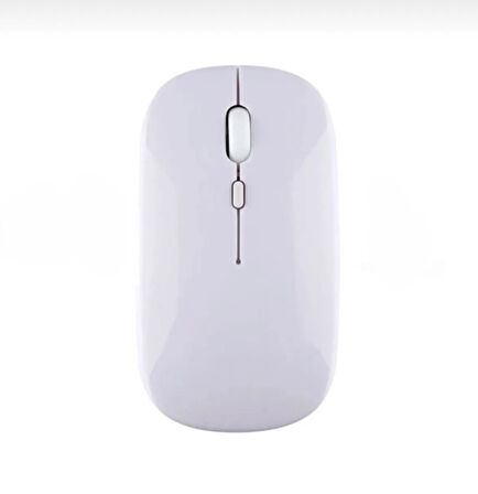 ZR216 Beyaz Bluetooth Mouse