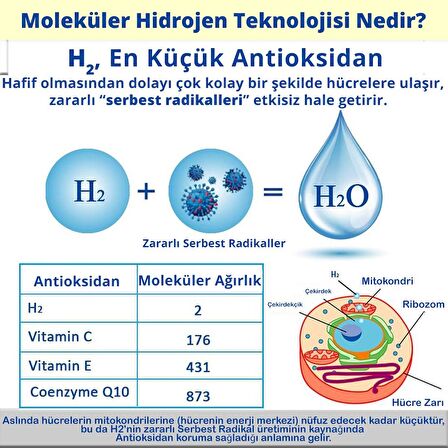 Dolar Kimya Lugol Çözeltisi %2 | Cam Damlalıklı Şişe | 100 mL