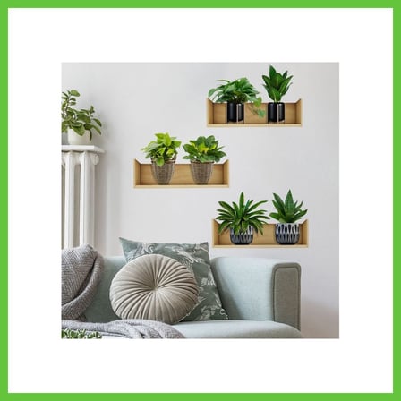 Bezos Raflı Bitki Tasarımlı Yapışkanlı Sticker 20*30 cm 3lü Set MC-663 DMC