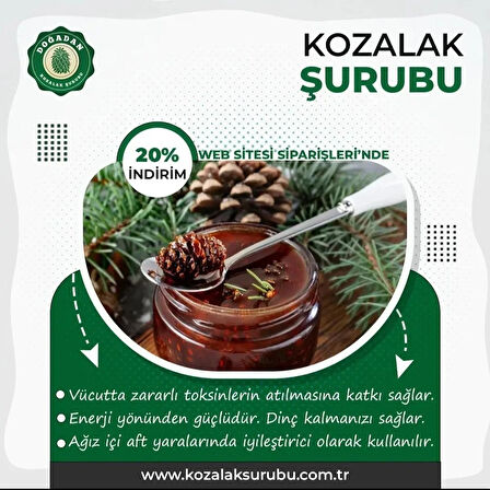 Kozalak Şurubu 475 ml.