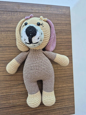 Köpek - sevimli oyun ve uyku arkadaşı