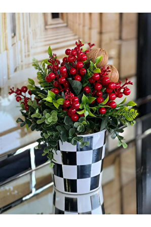 Kırmızı Kokinalı Damalı Vazo