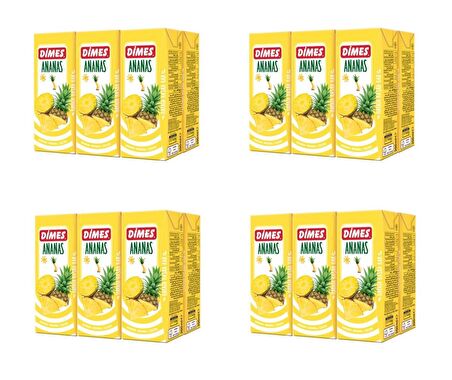 Dimes Ananas Aromalı İçecek İçecek 200 Ml X 24 Adet