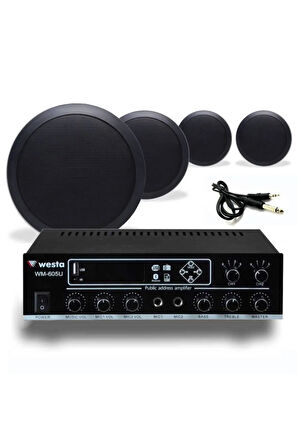 4’lü Siyah Tavan Hoparlör Ses Sistemi Paketi – Mağaza, Ofis & Kafe Müzik Çözümü