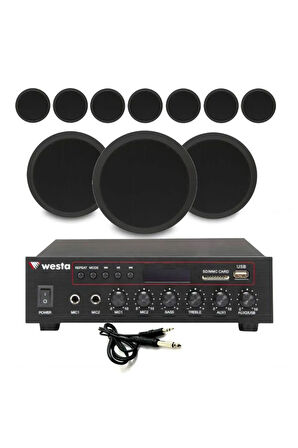 10’lu Siyah Tavan Hoparlorlu 100V Ses Sistemi Paketi | Kafe, Mağaza ve Ofis Müzik Sistemi