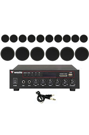 16’lı Siyah Tavan Hoparlorlu 100V Ses Sistemi | Kafe, Mağaza ve Ofis Müzik Sistemi