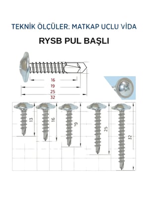 PUL BAŞLI (SDİNG) RYSB AKILLI VİDA 3,9X16 MM 50 Adet Vida TR