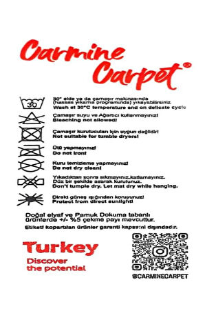 Dekoratif Dijital Baskılı Sevimli Maymun Desen Her Araca Uyumlu Yıkanabilir Oto Paspas Takımı