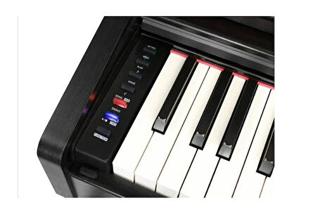 Medeli DP260BK Dijital Piyano (Siyah) 