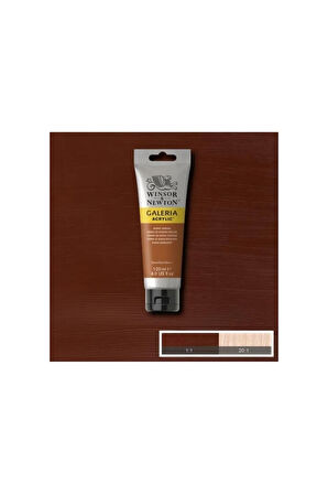 Winsor & Newton Galeria Akrilik Boya 120ml Burnt Sienna 074