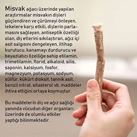 MİSVAK DİŞ FIRÇASI NATUREL VAKUMLU MİSFAK 12 ADET