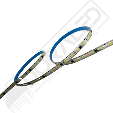 Ws2811 Beyaz Pixel Şerit Led 12Volt İp65 Dış mekan 5M