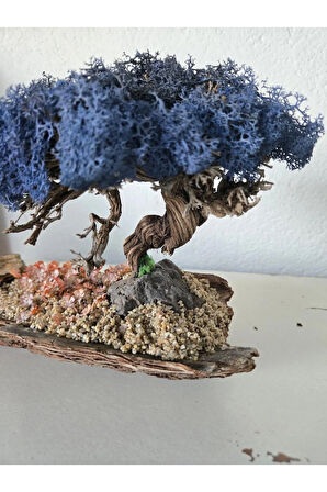 El Yapımı Bonsai Dekor | Gerçek Ağaç Gövdesi & Mavi Şoklanmış Yosunlu Masa Üstü Süs