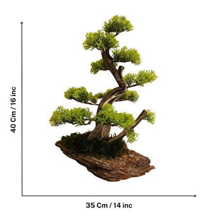 El Yapımı Doğal Ağaç Kabuğu Üzeri Bonsai Dekoru – Gerçek Yosunlu Masa Üstü Dekor