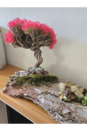 El Yapımı Doğal Ağaç Kabuğu Üzerine Bonsai Ağaç Dekor – Şoklanmış Yosunlu & Doğal Hediyelik Obje
