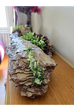 El Yapımı Doğal Ağaç Kabuğu Üzerine Bonsai Ağaç Dekor – Şoklanmış Yosunlu & Doğal Hediyelik Obje