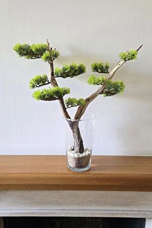 El Yapımı Cam Vazo Bonsai | Gerçek Okaliptus Gövdesi | Doğal Taşlı Masa & Ev Dekoru