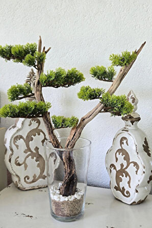 El Yapımı Cam Vazo Bonsai | Gerçek Okaliptus Gövdesi | Doğal Taşlı Masa & Ev Dekoru